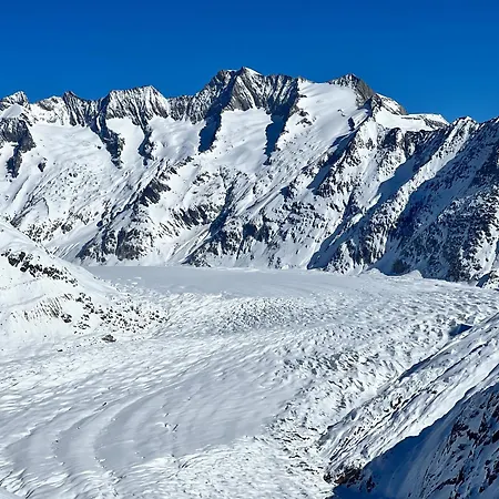 Апартаменты Nido Alpino Fiescheralp