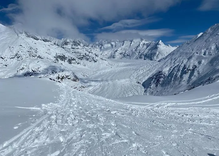 公寓 Nido Alpino Fiescheralp 费施