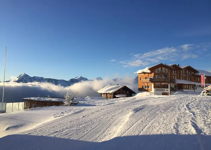 Nido Alpino Fiescheralp * Fiesch