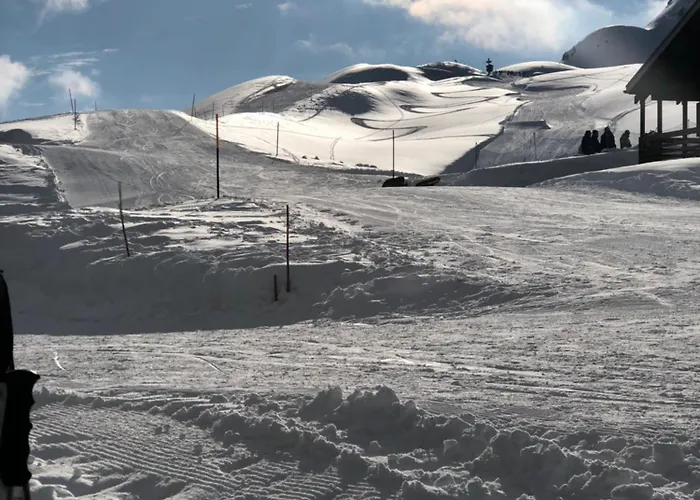 公寓 Nido Alpino Fiescheralp