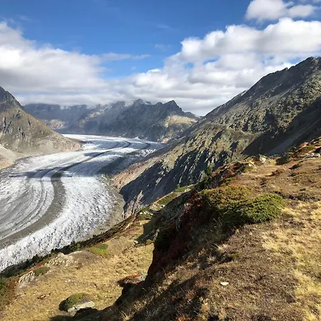Nido Alpino Fiescheralp Апартаменты