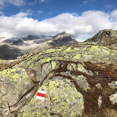 Апартаменты Nido Alpino Fiescheralp