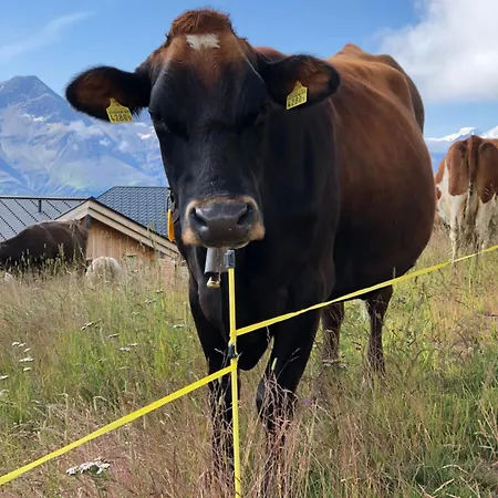 Апартаменты Nido Alpino Fiescheralp