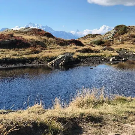 Nido Alpino Fiescheralp דירה